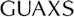 Guaxs GmbH Logo